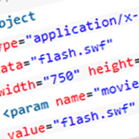 Insert Flash The Correct Way