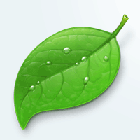 5 Time Saving Coda Features
