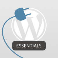 3.5 Hours of WordPress Plugin Development Training