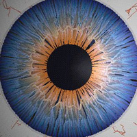 The 50 Most Eye-Opening Web Development Screencasts