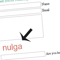 Build Your Own Captcha and Contact Form