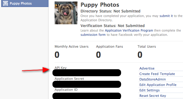 http www facebook com login php api key