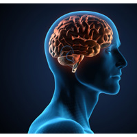Psychologist: Facebook Makes You Smarter, Twitter Makes You Dumber