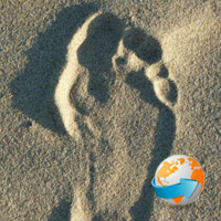 Top 20 Ways for Web Developers to Reduce their Carbon Footprint