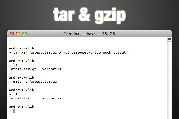 tar and gzip